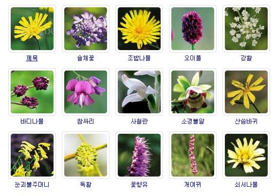 가을꽃 종류와 꽃말 알아보기 : 네이버 블로그