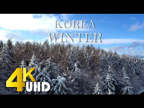 [4k 고화질] 겨울영상 | 자연영상 | 겨울풍경 | 자연풍경 | 테스트 영상 | 아름다운 겨울 | 한국겨울 | 한국관광 | 마음이 힐링되는 겨울영상 | 영상소스 - 엔티비스튜디오