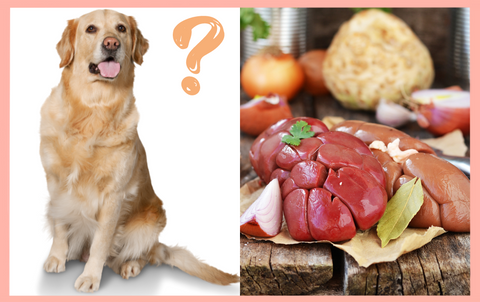 Beef Kidney Is A Canine Superfood: Here'S How To Serve It – The Dog Bakery