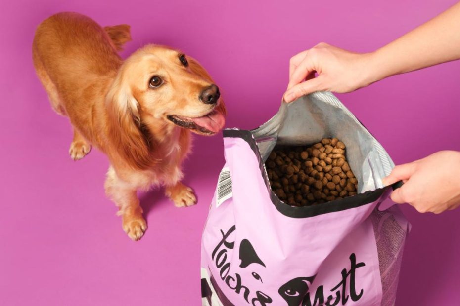 Dry Dog Food Storage - How Long Does Dry Food Last? | Pooch & Mutt