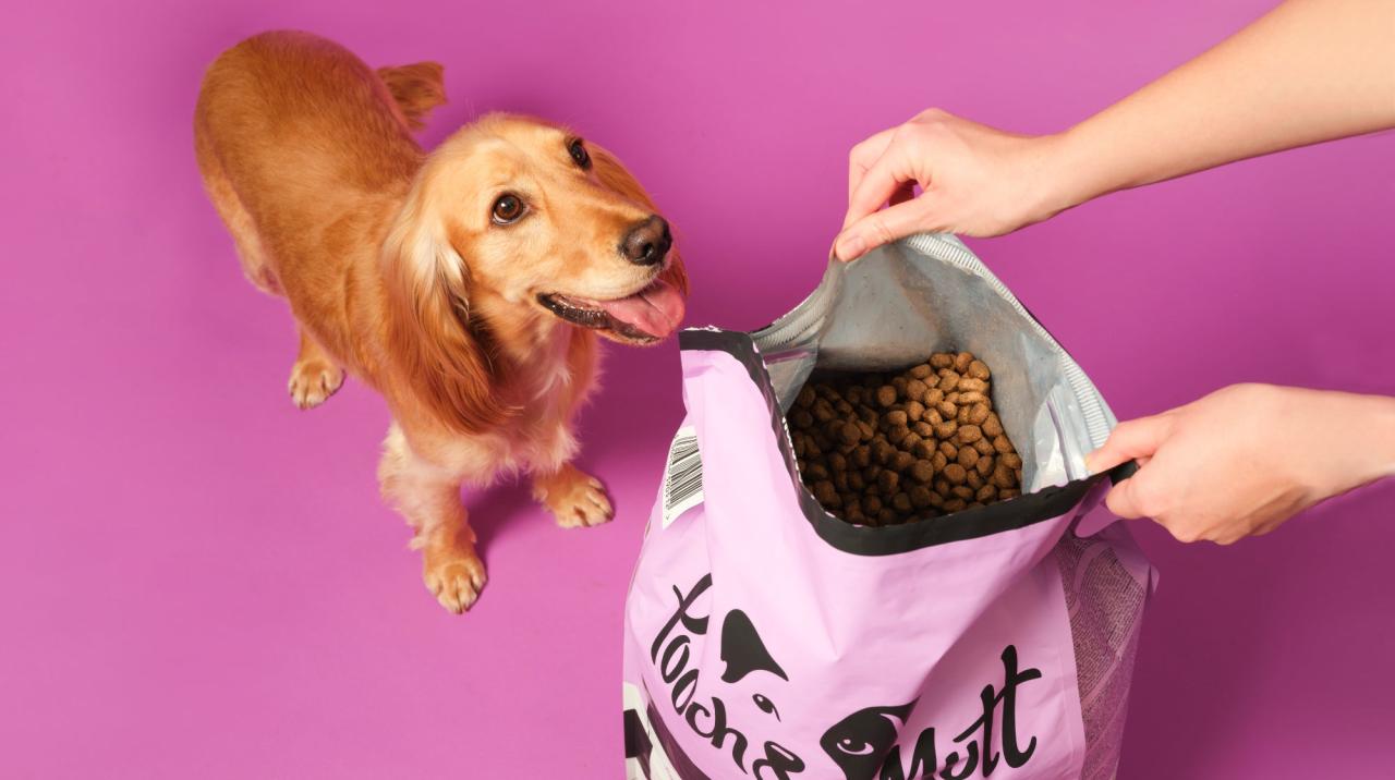 Dry Dog Food Storage - How Long Does Dry Food Last? | Pooch & Mutt