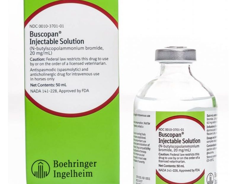 Buscopan® Injectable | Santa Cruz Animal Health
