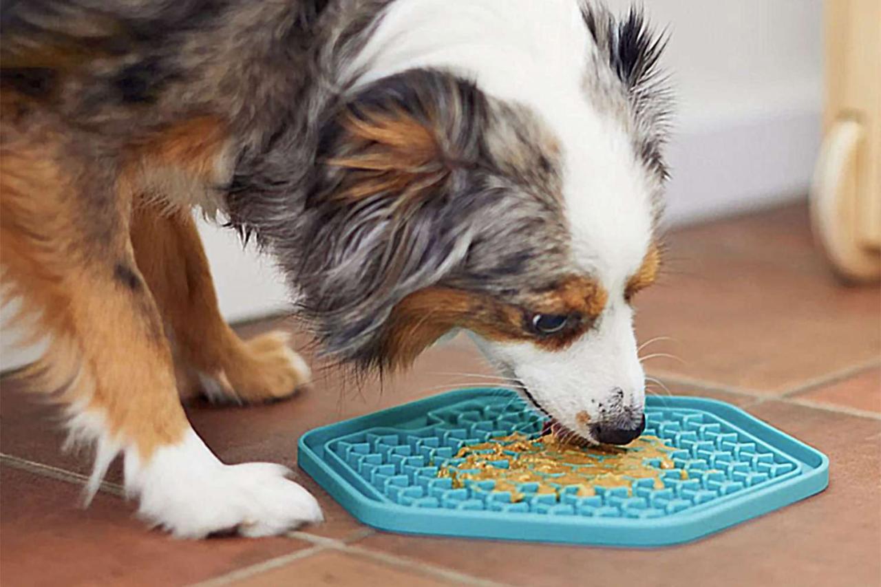 The Benefits Of Dog Lick Mats, According To A Dog Trainer And Behaviorist
