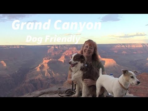 Grand Canyon - Arizona Dog Friendly - Youtube