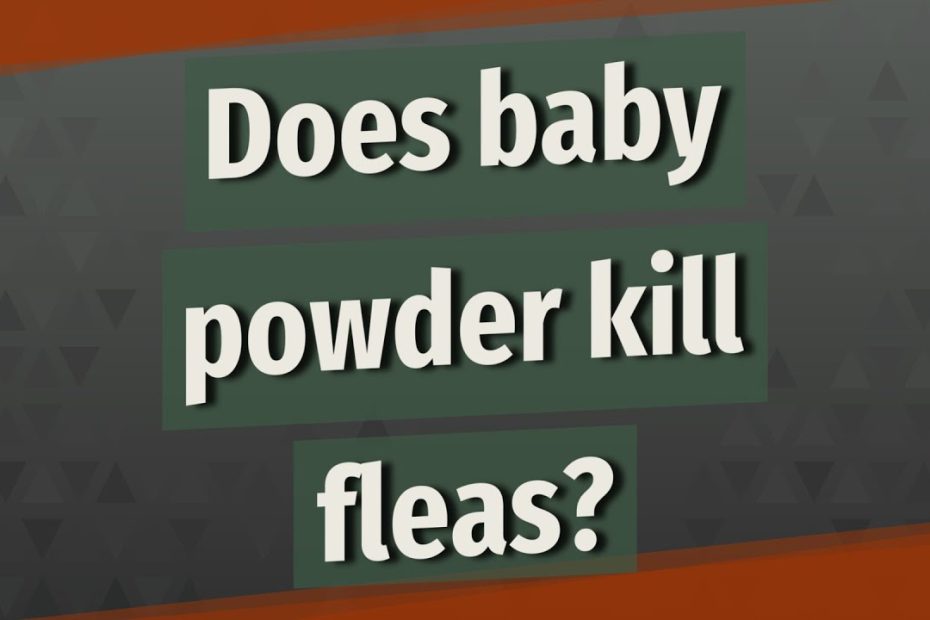How Does Baby Powder Kill Fleas - Parental Questions