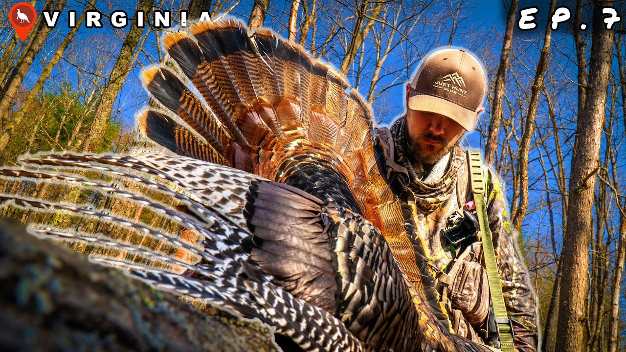 Virginia Public Land Turkey Hunting With The Hunting Public - Youtube