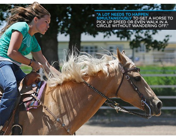 4 Ways To Harness The Fitness Benefits Of Horseback Riding