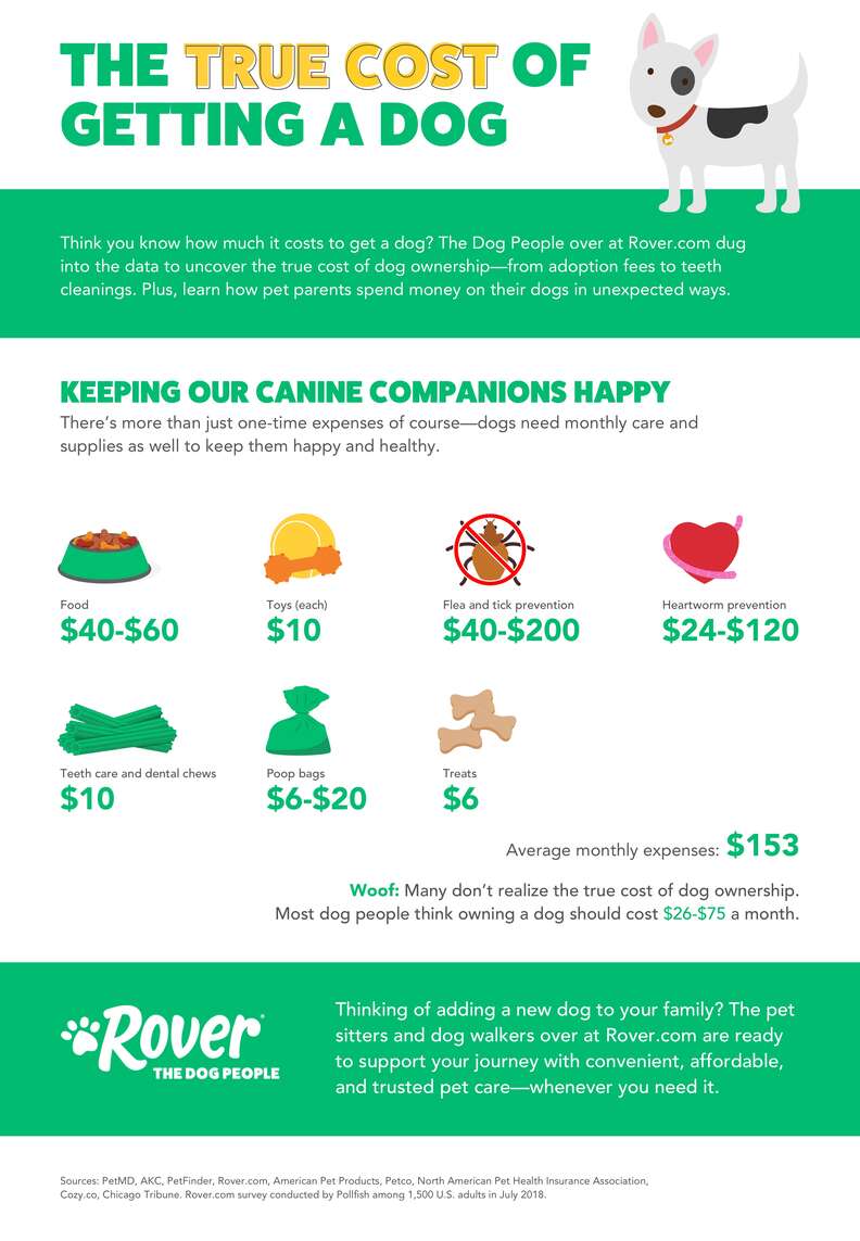 How Much Does Owning A Dog Cost? Average Expense For Dog Owners - Thrillist