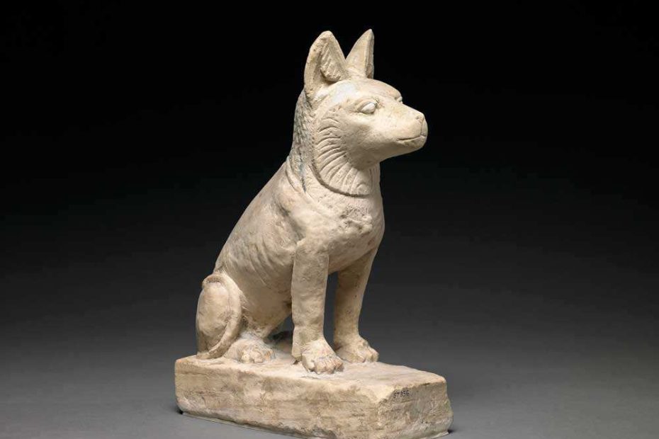Dogs In Ancient Egypt: The Early Origins Of Man'S Best Friend